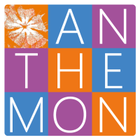 Cursos Institut Anthemon